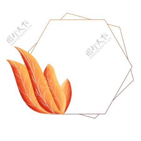 手绘珊瑚橘配色植物叶子边框元素