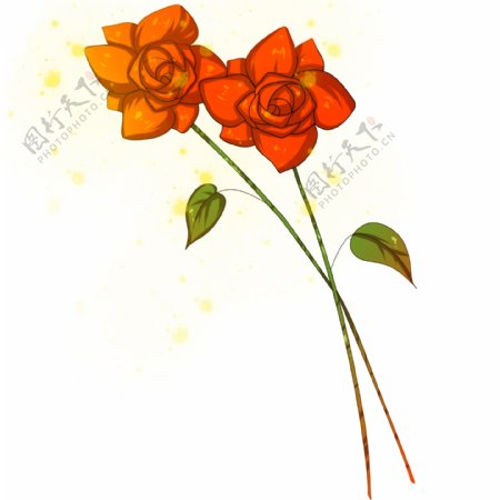 手绘红色玫瑰花插画
