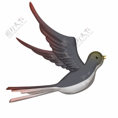 煽动翅膀飞行的燕子插画