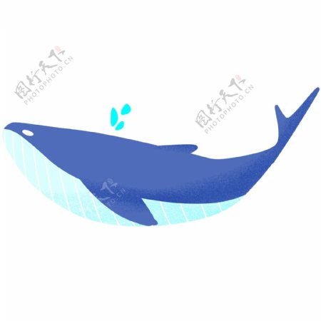 海洋中蓝色的鲸鱼插画