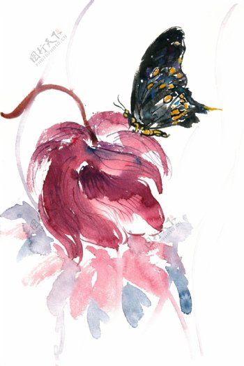 黑色蝴蝶与红花水彩画PNG免抠素材