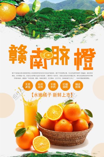 赣南脐橙水果海报设计