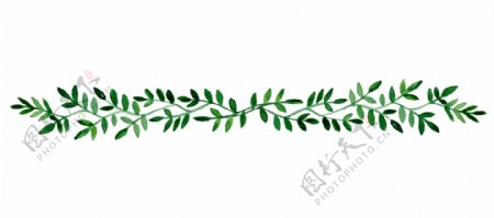 绿色植物花纹边框元素
