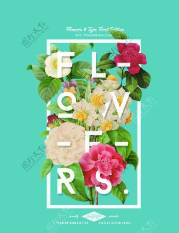 花朵植物小清新海报