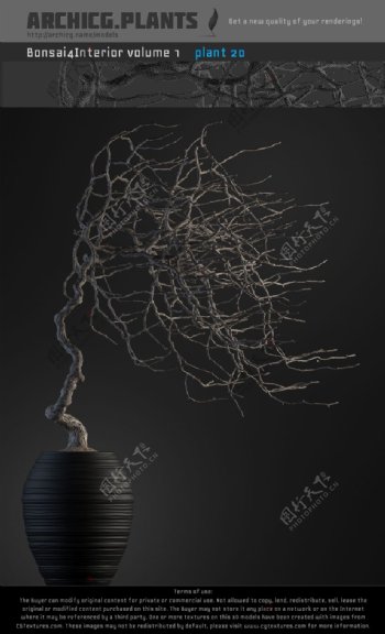欧美风花瓶植物3d模型