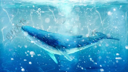 唯美大海与鲸治愈系鲸鱼海洋海蓝时见鲸插画