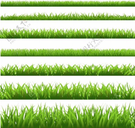绿色环保小草树叶矢量