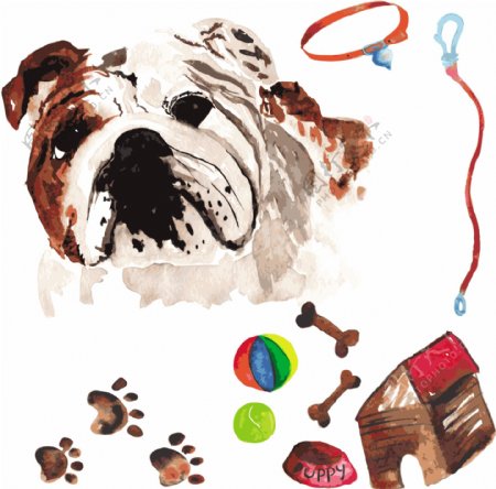 小狗水彩手绘狗及宠物用品矢量