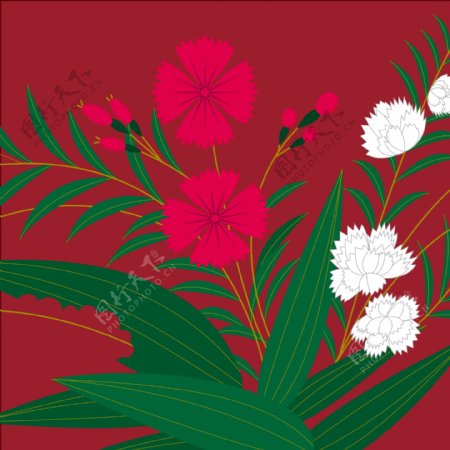 红色植物花草背景图