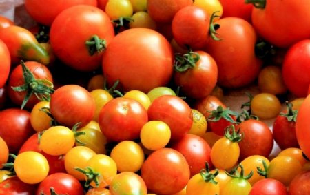高清晰新鲜西红柿水果蔬菜