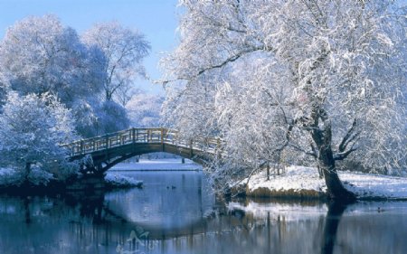 白雪皑皑的小桥风景图