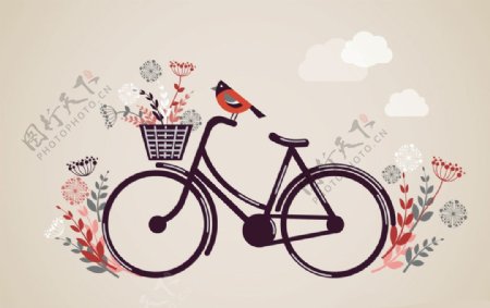 花鸟自行车