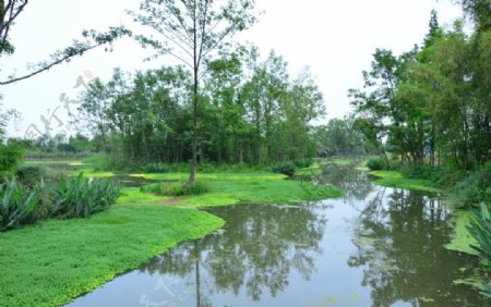 崇州湿地公园