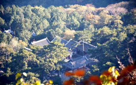 山间庭院