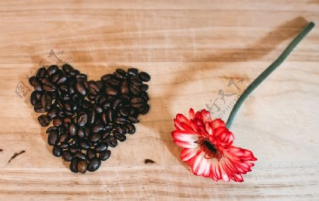 咖啡和花儿的顶视图