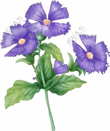 蓝紫色鲜花植物元素