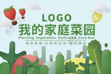 水果蔬菜商业插画包装