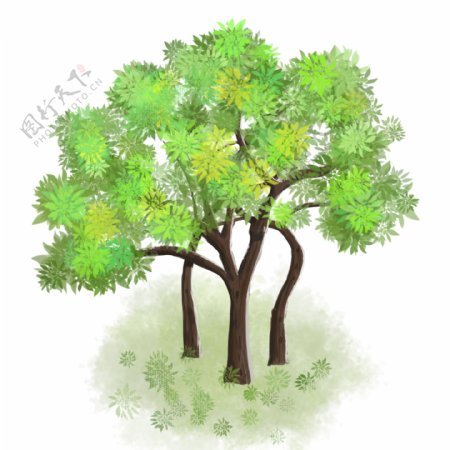 春天绿色的组合树
