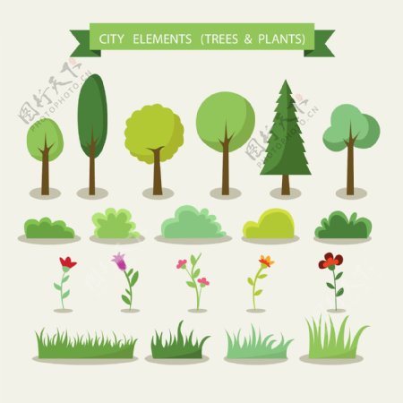 树木和植物