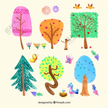 彩色树木和花鸟设计