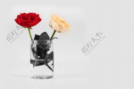 玻璃瓶与玫瑰花