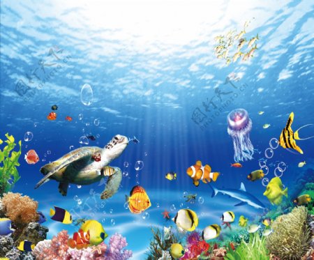 珊瑚礁大海海底世界海水