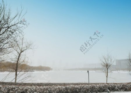 四季雪景湖面楼树木