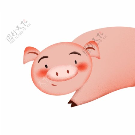 卡通手绘小清新小猪动物