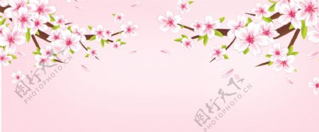 唯美浪漫中国风樱花