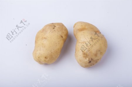 生活常见蔬菜之土豆2