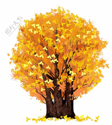 一棵树黄色叶子树木