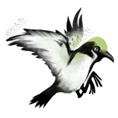 手绘中国风动物小鸟PNG素材