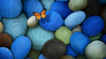 石头蝴蝶