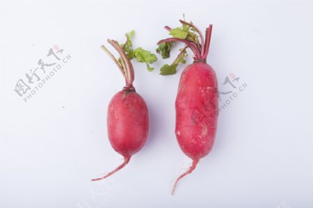 新鲜红萝卜实物图摄影图1