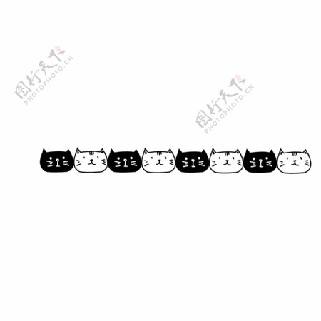 黑白猫咪分割线插画