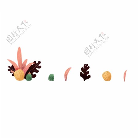 仙人掌植物分割线插画