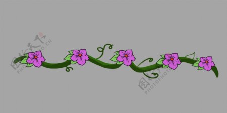 紫色花花分割线插画