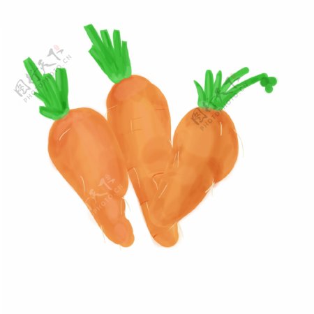 蔬菜红萝卜分割线插画