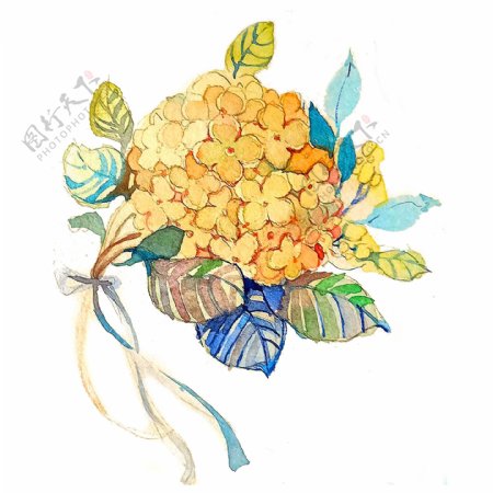 彩色植物黄色鹅黄淡黄紫阳花绣球花PNG花团