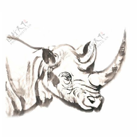 犀牛的头部水墨画PNG免抠素材