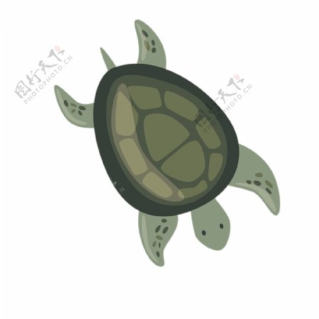 卡通绿色海龟下载