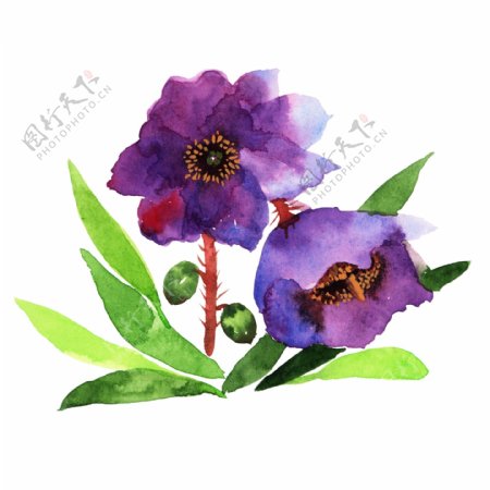 卡通紫色鲜花插画