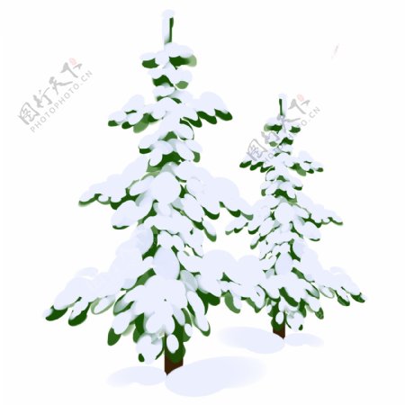 手绘落雪的松树插画