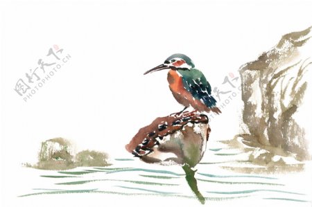 孤独的小鸟水彩画PNG免抠素材