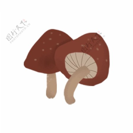 手绘蘑菇果蔬插画元素