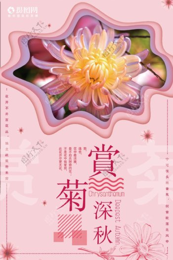 菊花赏海报设计
