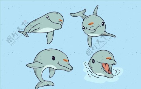 矢量海豚集合