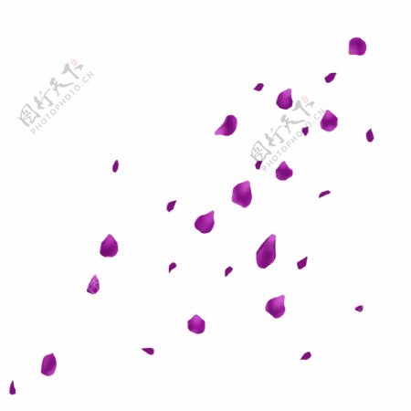 紫色漂浮花瓣玫瑰花瓣