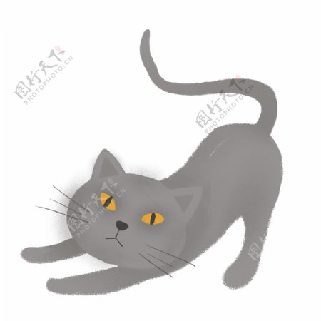 灰色可爱小猫咪插画