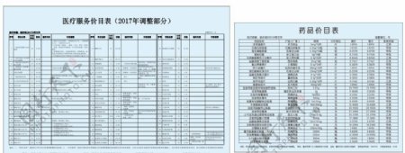 医院医疗服务价目表药品价格表